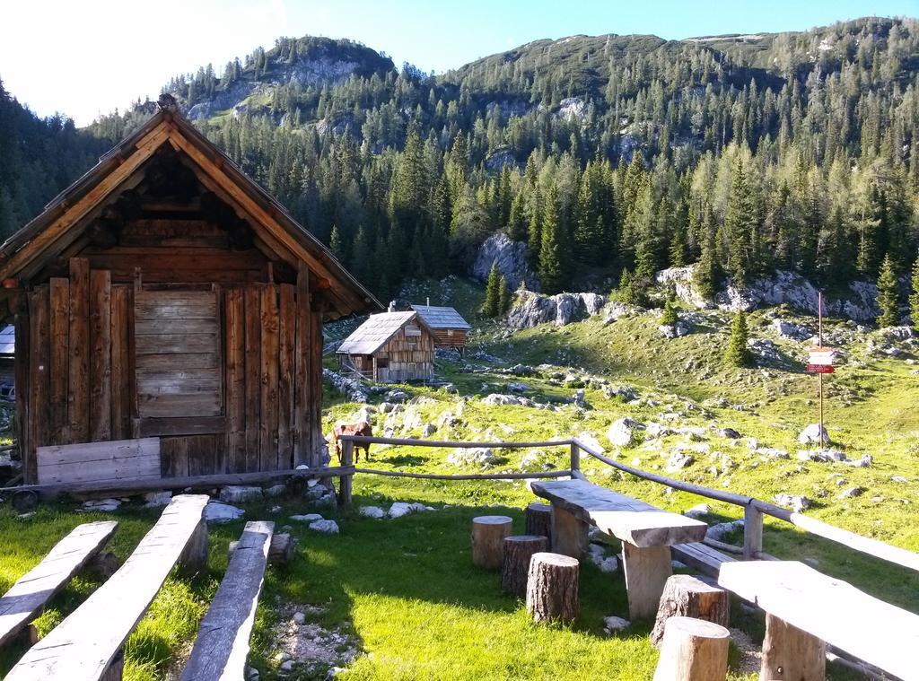 Hiska Henrik Zalokar Leilighet Bohinj Rom bilde